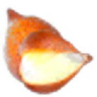 Salak