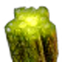 Sap