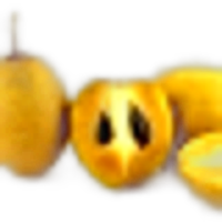 Sapodilla