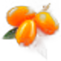 Sea Buckthorn