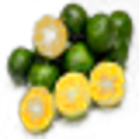 Shiikuwasha