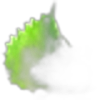 Shiso