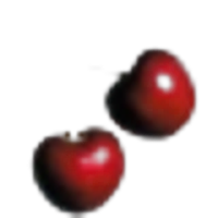 Sour Cherry