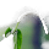 Spiked Pepper