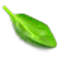 Spinach