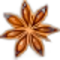 Star Anise