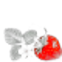 Strawberry Flower