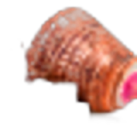 Taro