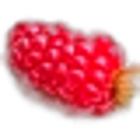 Tayberry