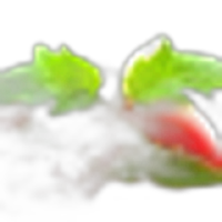 Tomato Leaf