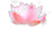 Water Flowers