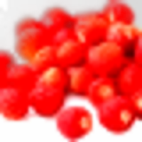 Wild Strawberry