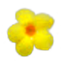 Yellow Bells
