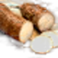 Yuca Cassava