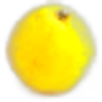 Yuzu