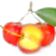 Acerola