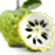 Cherimoya