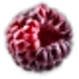 Dewberry