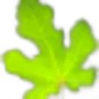 Fig Leaf