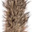 Fur