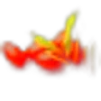 Goji Berries
