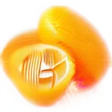 Kumquat
