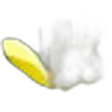 Magnolia brooklynensis