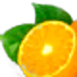 Mandora