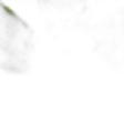 Neroli