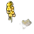 Paramela