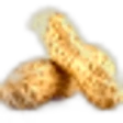 Peanut
