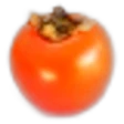 Persimmon