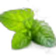 Physcool®