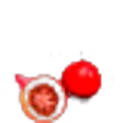 Quandong, desert peach