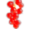Red Currant