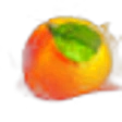 Tangerine Zest