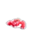 Water Fruit