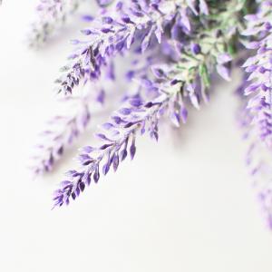 Creations Aromatiques